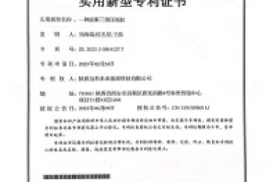 Utility Model Patent Certificate